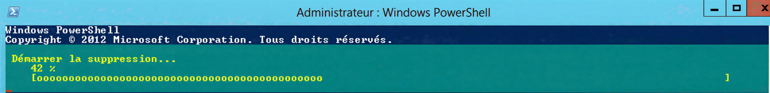 Étape 4 - Suppression en cours